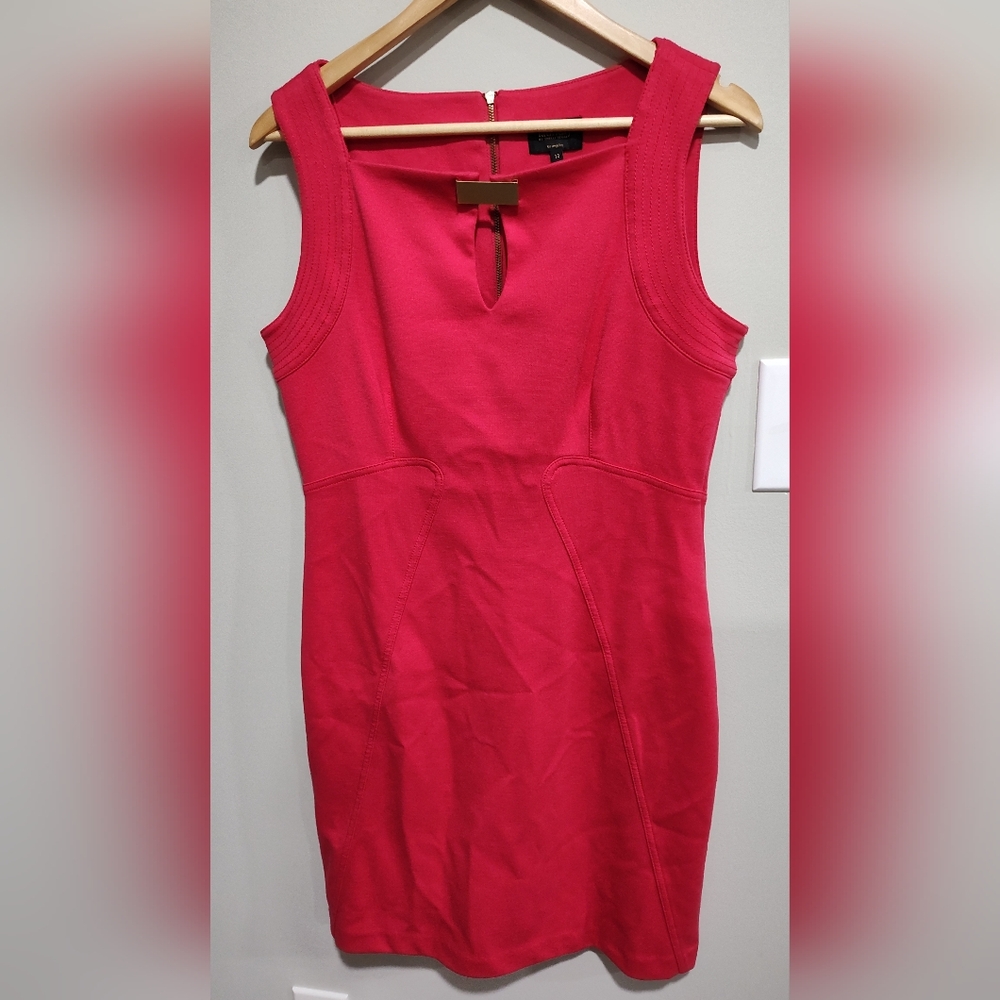 Laundry By Shelli Segal  Sleeveless Pink Dress with Gold Accents  Size 12